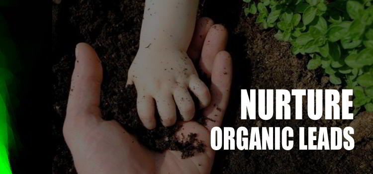 How to Nurture Your Organic Leads Image